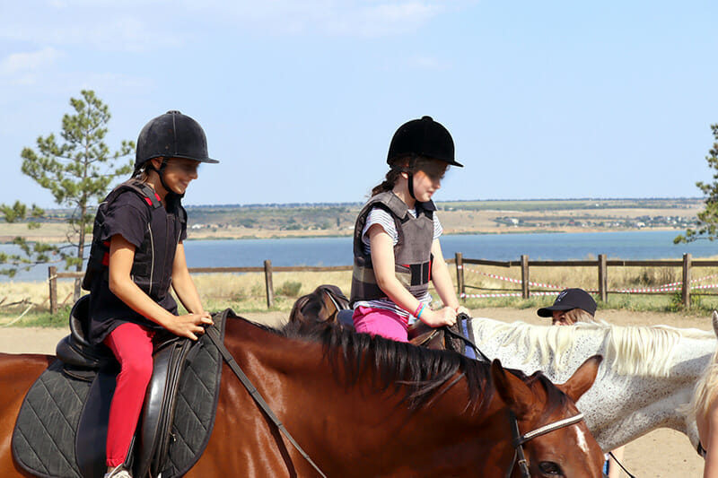 Odesa camp horses