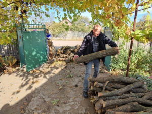 Bert carrying firewood