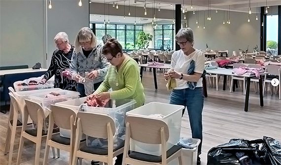 Volunteers in Sweden www